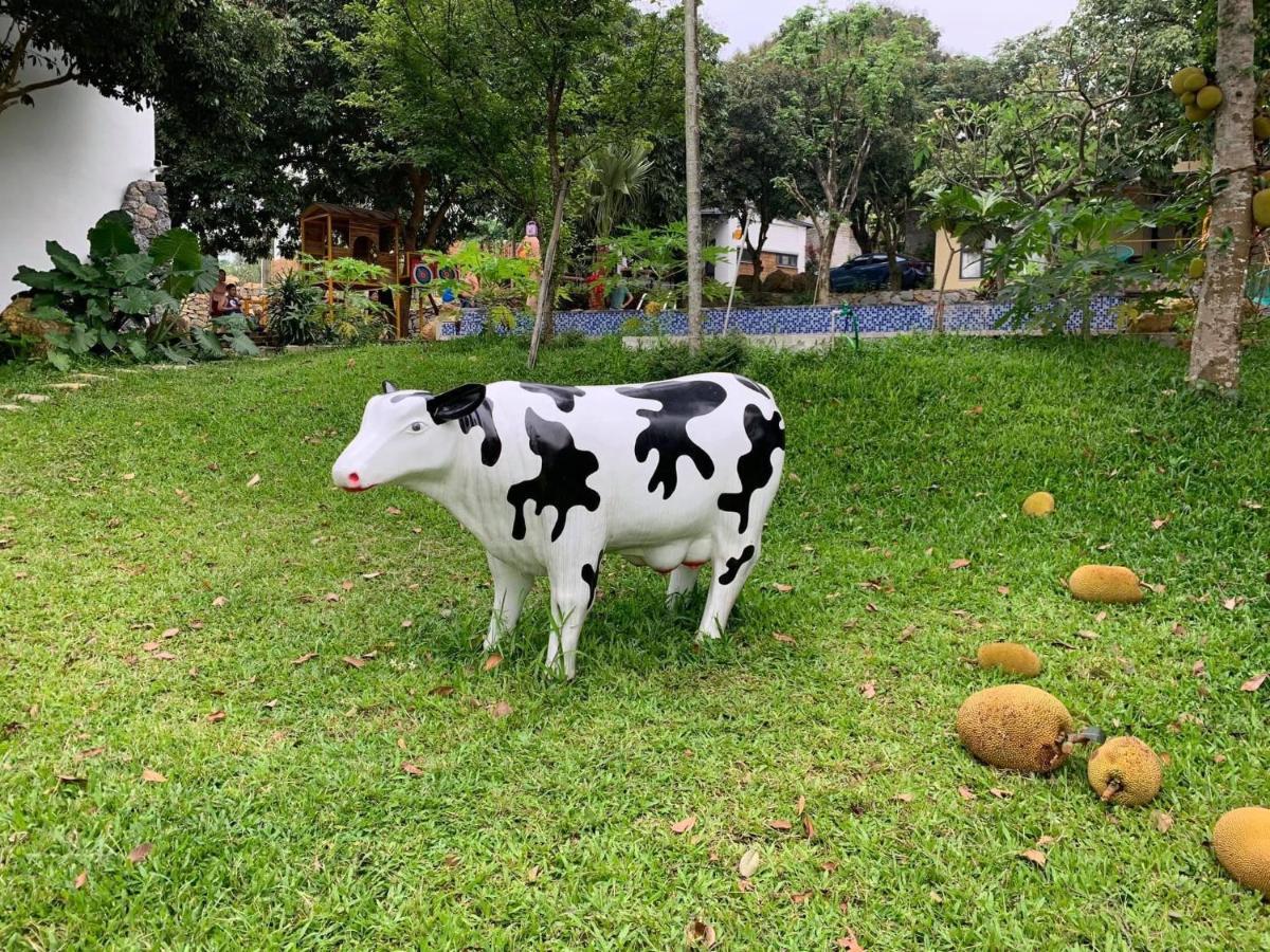 מלון בא וי Bavi Annam Garden מראה חיצוני תמונה